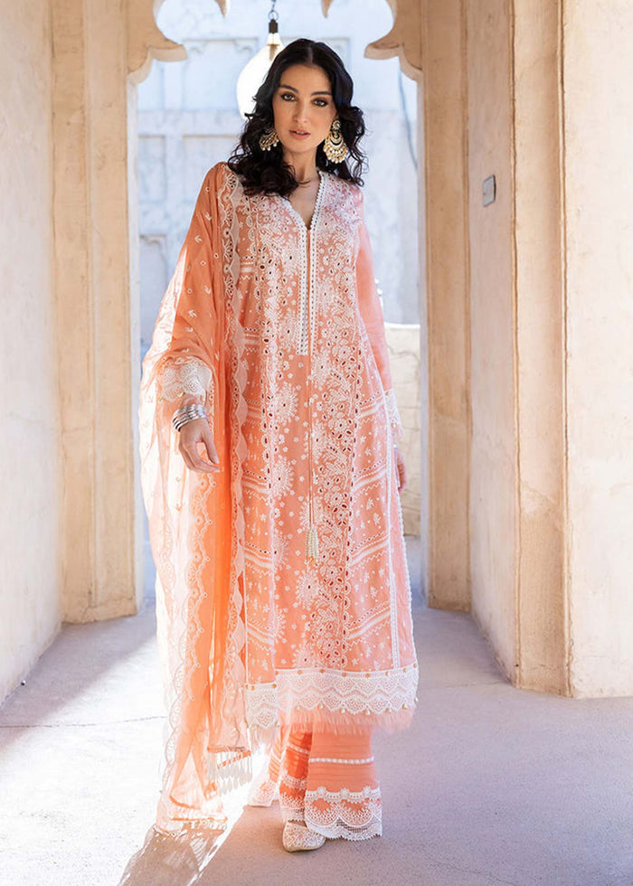 Chiffon store dresses 2019